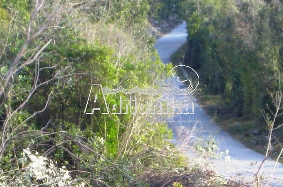 Участок в Которе с видом на море - фото