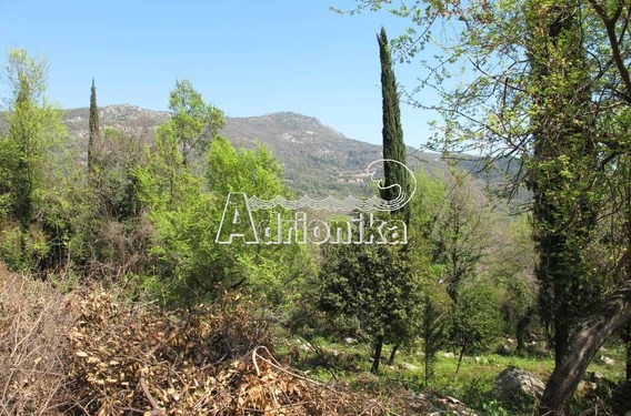 Участок в Мойдеж - фото