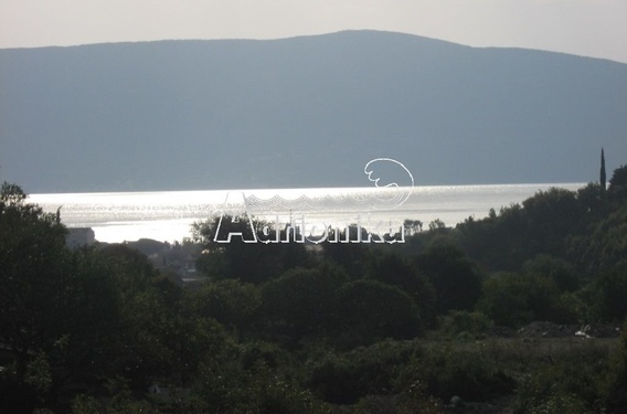 Участок в Кути - фото