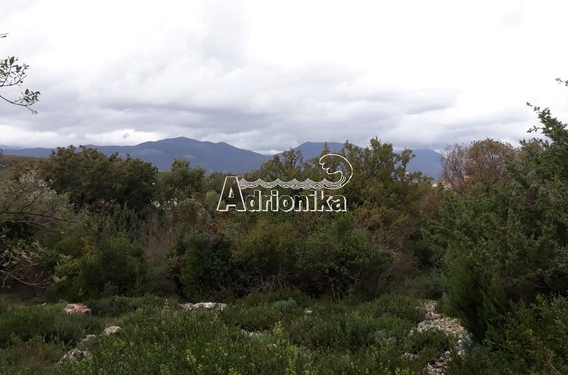 Земельный участок в поселке Радовичи - фото