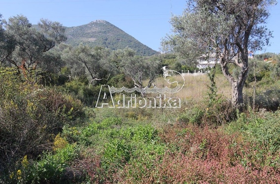 Участок в районе Бара - фото