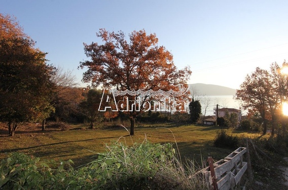 Участок в Кумборе - фото