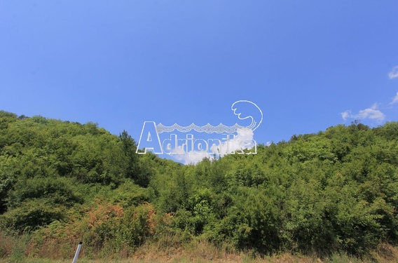 Участок в Радановичи - фото