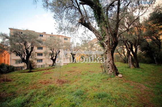 Участок в Петроваце - фото