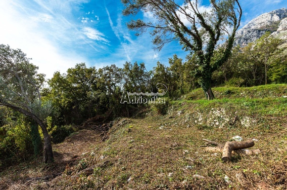 Продается участок в Режевичах, 975 м? - фото