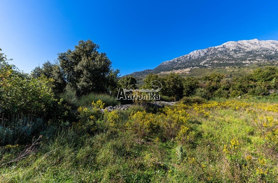 Участок в Бар-Печурицы 2003 м? - фото