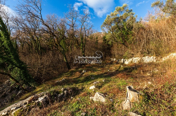 Земельный участок 2170 м? в Куляче - фото