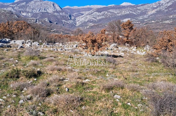 Два участка в местечке Велье Село, рядом с поселком Добра Вода - фото