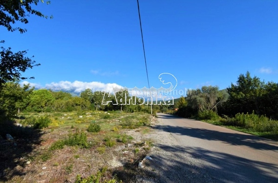 Земельный участок в Кримовицы - фото