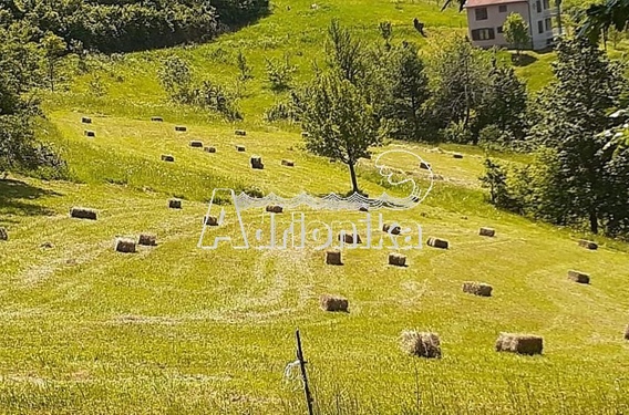 Большое имение рядом с Мойковцем и Биело Полем - фото