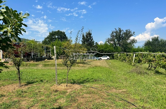 Участок в тихом месте, Належичи, Котор - фото