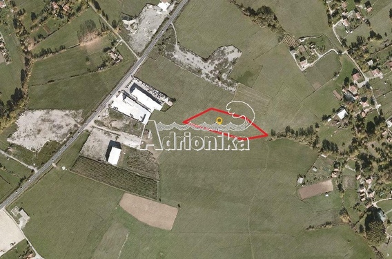 Сельхоз земля в Даниловграде. - фото