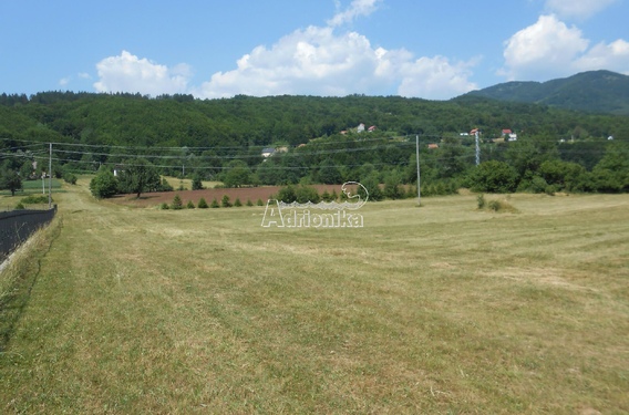 Участки в Колашине у реки Тара - фото