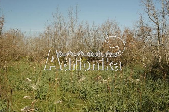 Участок в Бриска Гора, Улцинь - фото