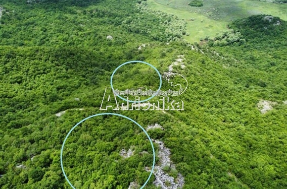 Участок на Скадарском озере - фото