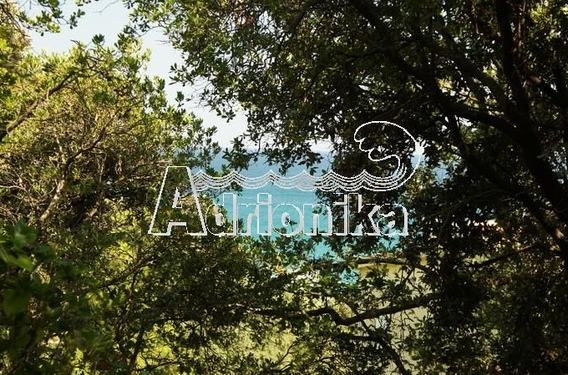 Участок, Утеха, 50м от моря - фото