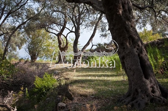 Участок в местечке Зупци, Бар - фото