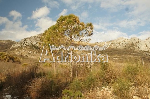 Участок в местечке Ратац - фото