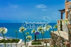 Новый город на Луштице, "Lustica Bay"