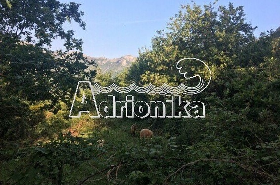 Большой участок в местечке Царевичи, Бар - фото