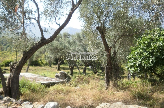 Хороший участок с каменной руиной в Шушане - фото