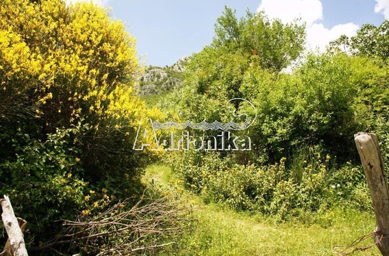 Участок в Туджемили над г. Бар - фото