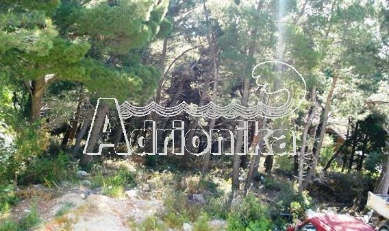 Урбанизированный участок в Зеленом Поясе - фото