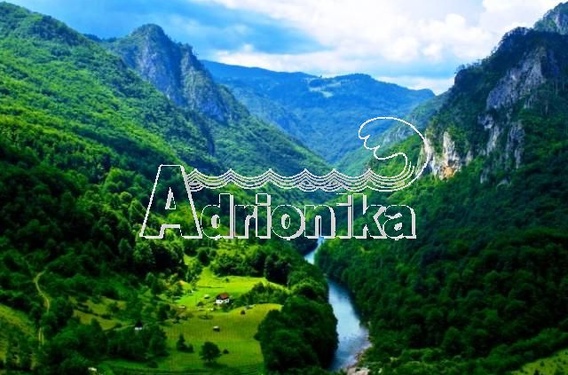 Участок в Жабляк, местечко Пашина Вода - фото