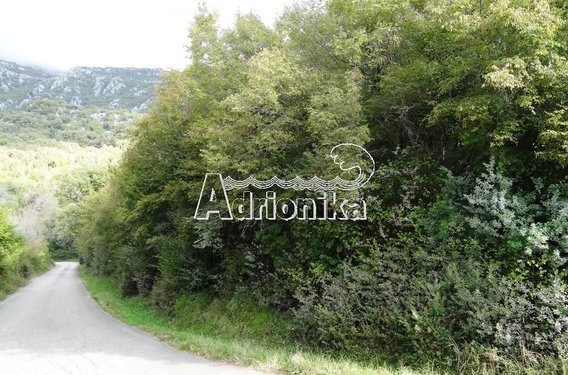 Участок в Херцег Нови, Сасовичи - фото