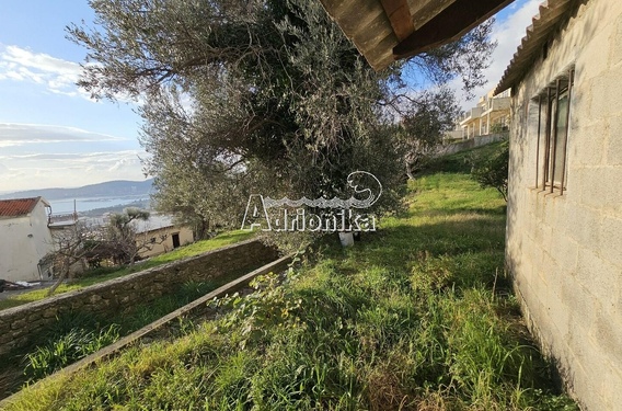 Старый дом в Шушани, Бар с просторным участком - фото