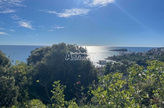 Частично урбанизированный участок, Пальушково, Утеха, Бар - фото