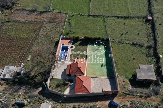 Традиционный каменный дом с большим участком недалеко от моря, Бар - фото