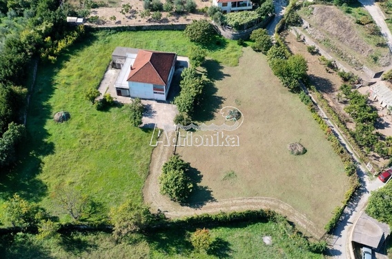 Большой участок с домом, Зальево - фото