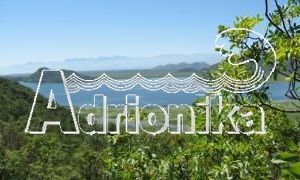 Земля на берегу Скадарского озера, Бар - фото