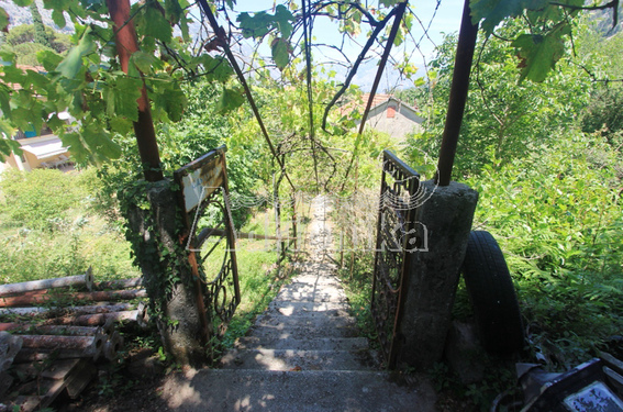 Дом с большим участком в Которе - фото