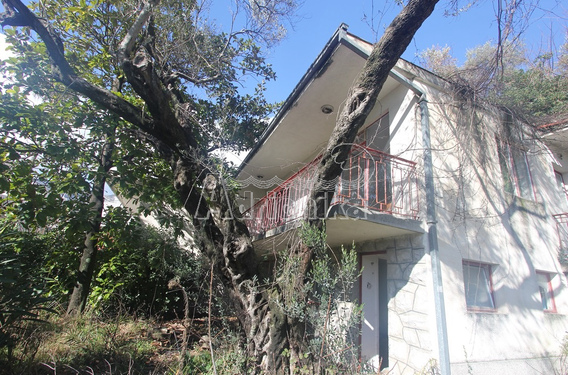 Два дома в Бечичи - фото