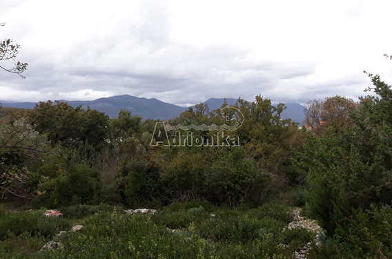 Земельный участок в поселке Радовичи - фото