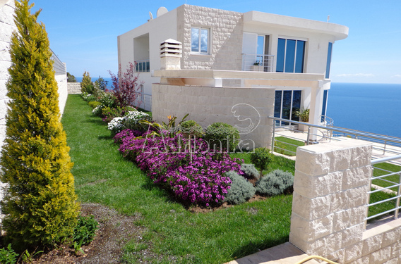 Две виллы класса люкс в комплексе - фото