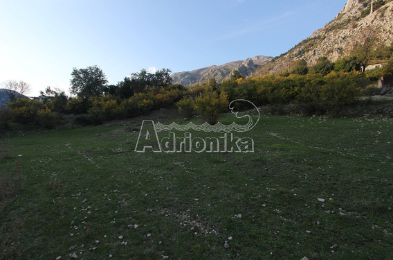 Участок в Доброте - фото