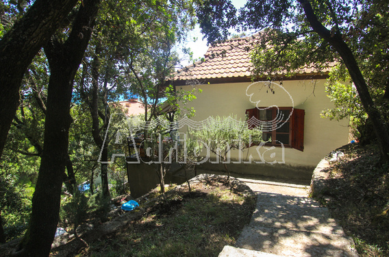 Дом в Утьехе в 30 м от моря - фото