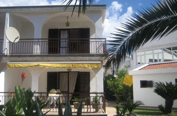 Просторный дом в окружении пальм - фото