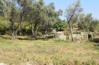 Хороший участок с каменной руиной в Шушане