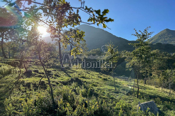 Участок с легким уклоном, Зупци, Бар - фото