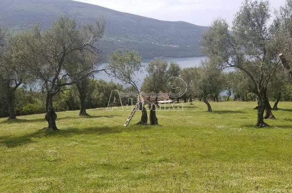 Большой участок под застройку с видом на море, Дженовичи, Херцег Нови - фото