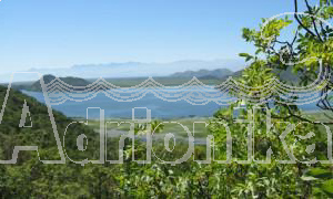 Земля на берегу Скадарского озера, Бар - фото