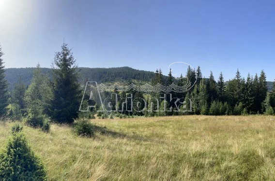 Большой участок площадью 34000 м2 в Плевле, продажа - фото