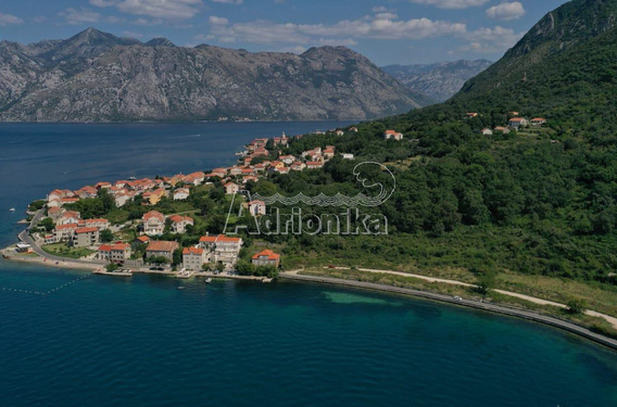 Продажа: Большой земельный участок площадью 15.900 м2 в Прчань - фото