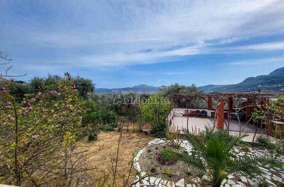 Дом с большим участком под фруктовыми и оливковыми деревьями, Бар - фото