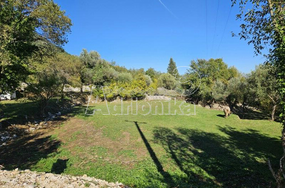 Красивый и ровный зелёный участок в Которе, в деревне Належичи - фото