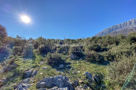 Участок в Добра Вода, под строительство комплекса - фото